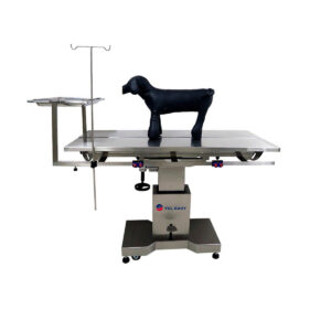Table d'Opération Vétérinaire Hydraulique YG0235