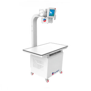 Radiographie Numérique Vétérinaire (DR) YG0287