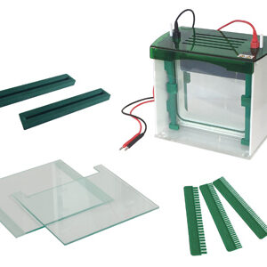 Cellule d'Électrophorèse en Gel Vertical YG1578
