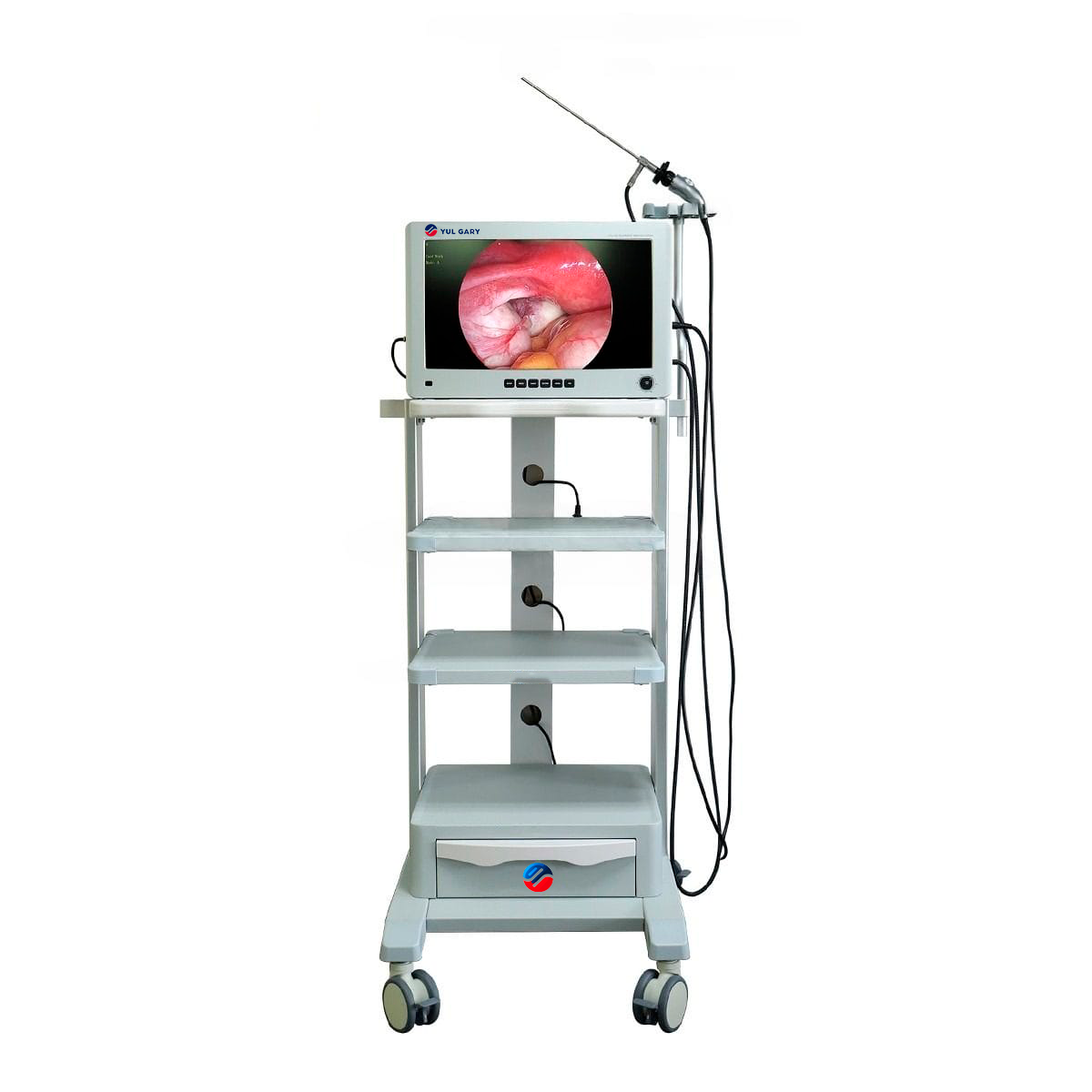 Système d'Imagerie Endoscopique Haute Définition Mobile de 26 pouces YG1646